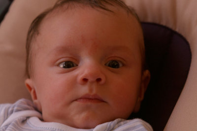 Baptiste (P0577)
