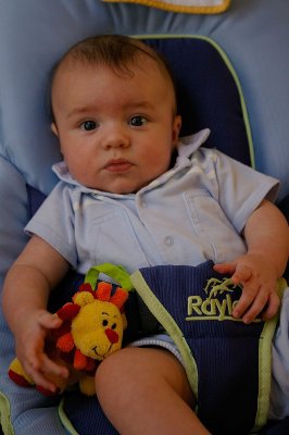 Florian et le petit lion (P0820)