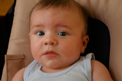 Florian (P0920)