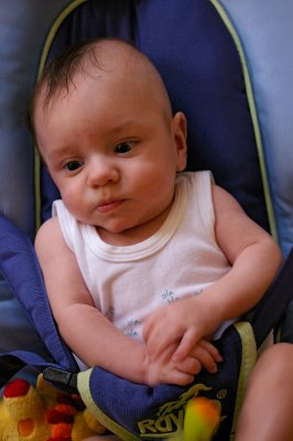 Baptiste le petit iroquois (P0973)