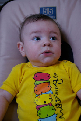 Florian (P1066)