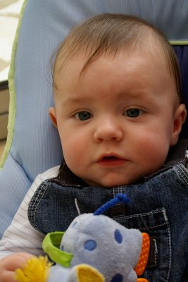 Florian et le petit lphant (P1379)