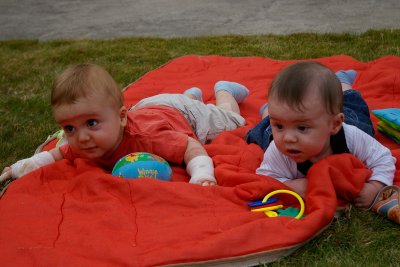 Florian e Mathieu - Crawling babies (P1425)