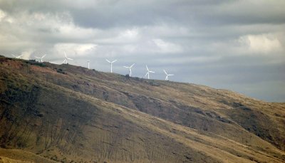 Lahaina  - Wind Power