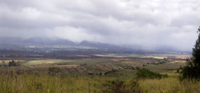 Central  Plain - Panorama