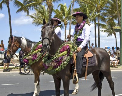 Paniolo  (Hawaiian Cowboys)