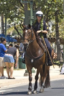 Mounted Police Officer