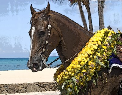 Parade Horse