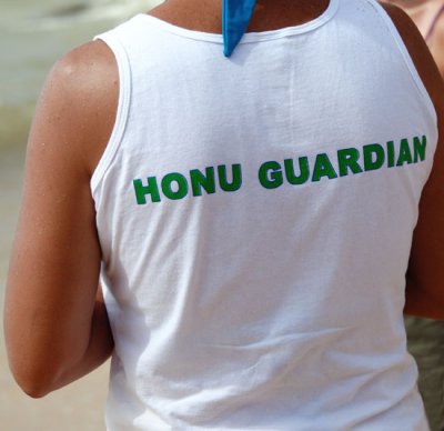 Honu Guardian