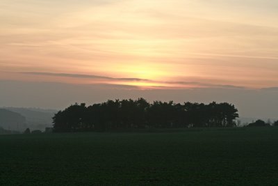 Sunset over the woods - view from back of house
