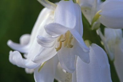 Macro fun