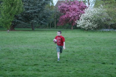 Dusk rugby in the park