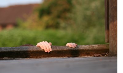 Fingertips