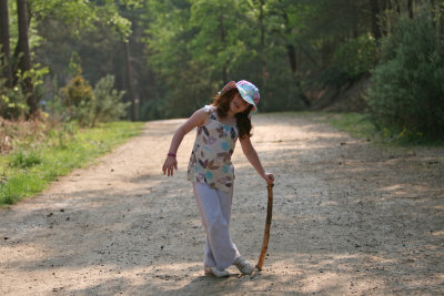 Long walk in the woods