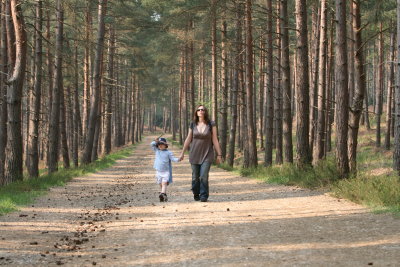 Long walk in the woods