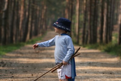 Long walk in the woods