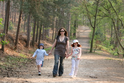 Long walk in the woods