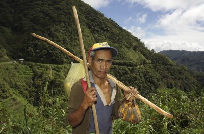 Native_farmer bringing home the bananas_.jpg