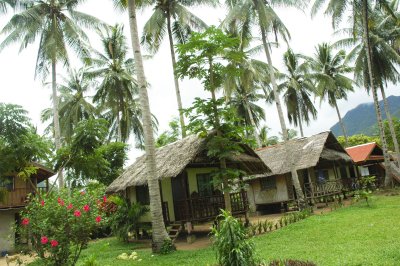 Huts along the beach for rent_.jpg