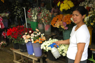 flowers for sale_