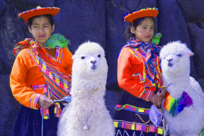 llama on the left is ready to spit