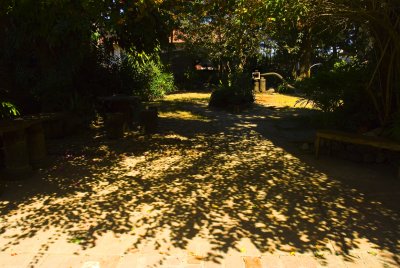 tree overshadows the quiet_.jpg