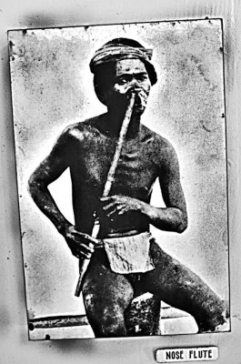 nose and flute.play on.play on_.jpg