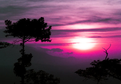 morning light tagaytay