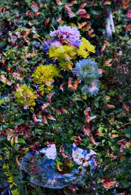 flowers-vase-plate