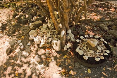 sacred ground rocks  shells and tire