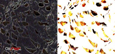 lanczos-difference-curves2.jpg
