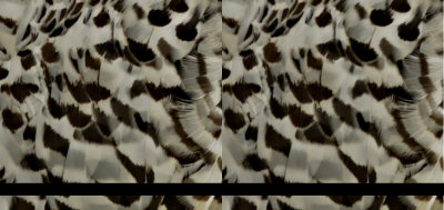 test1.jpg