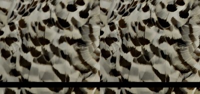 test2.jpg