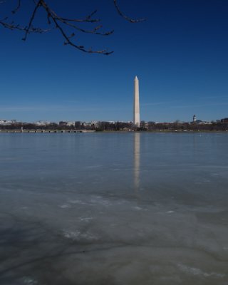 P2243838sm.jpg