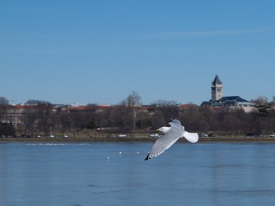 P2243842sm.jpg