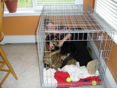 Kerri and Riley in their kennel