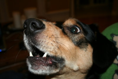 Riley talking