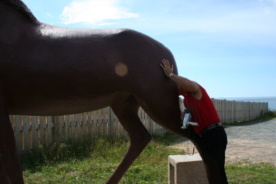 Rob and his head in a Moose's Ass