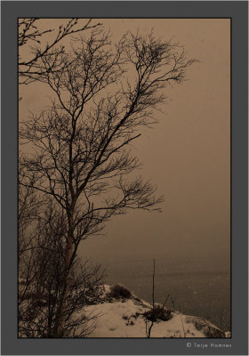 snow in an April evening