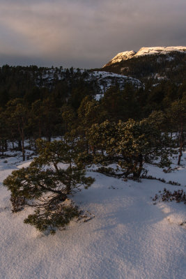 Towards the mountain