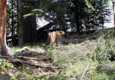 Stump Left