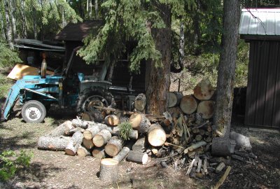 Downed Tree