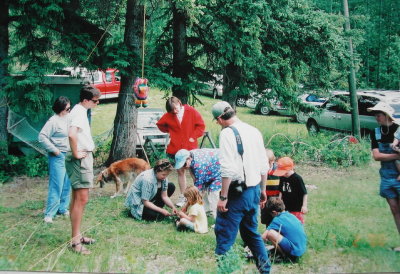 g6/31/774131/3/79917736.G4vCqIfA.jpg