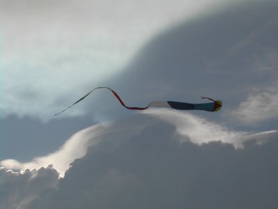 Kites