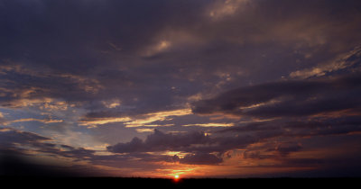 _DSC1983.jpg