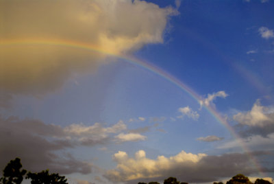 rainbow.jpg