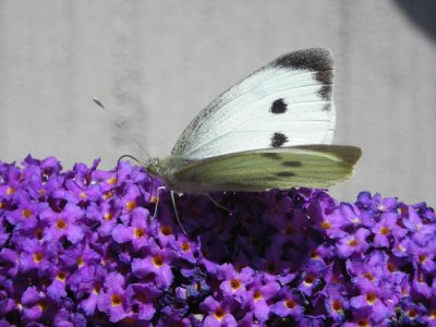  Getterns Naturcenter Halland