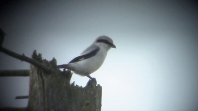 Tgsberget Halland