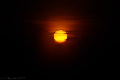 Black Hole Sun...