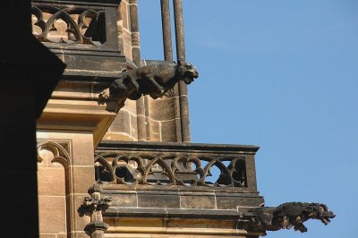 PC-DSC_7645.JPG